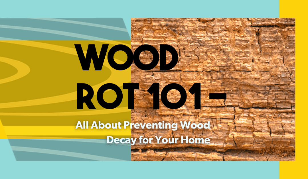 Wood Rot 101 – All About Preventing Wood Decay for Your Home 