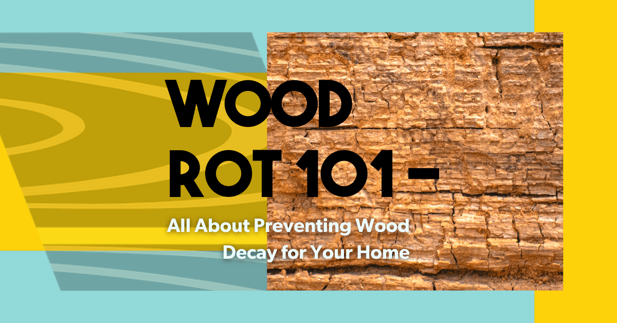 Wood Rot 101 – All About Preventing Wood Decay for Your Home