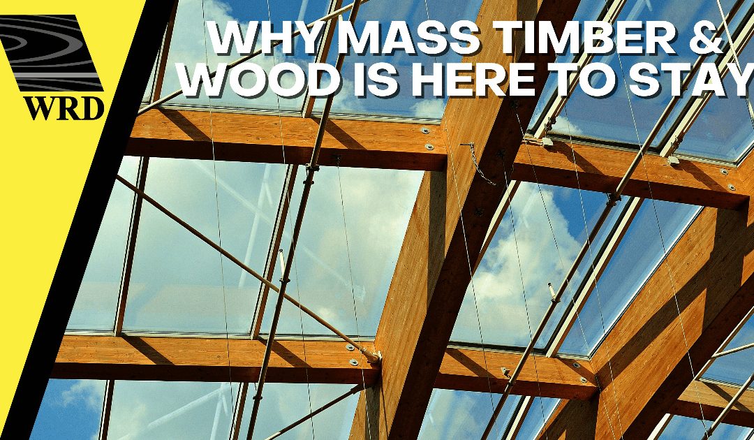 Why Mass Timber is Here to Stay