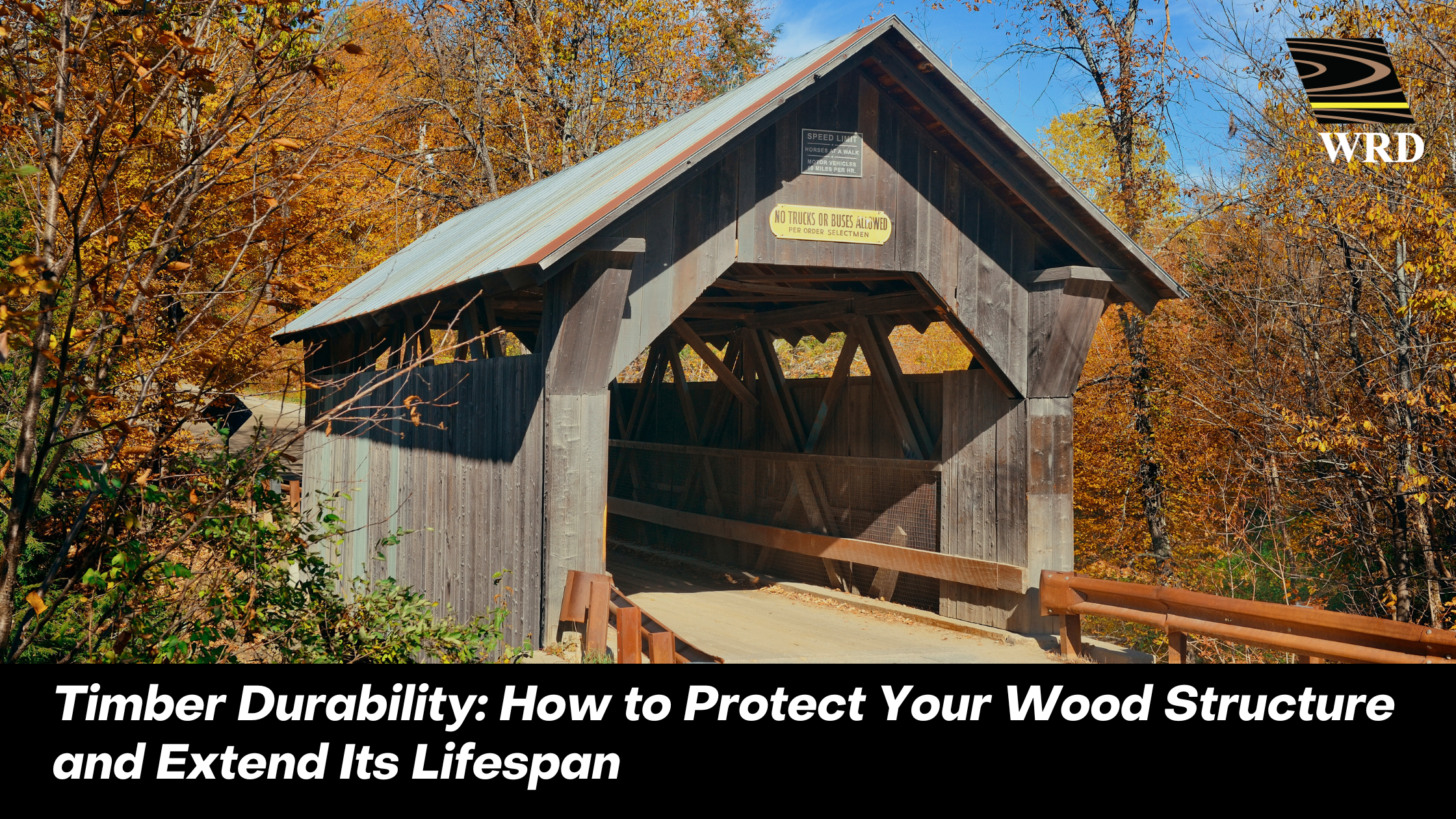 Timber-Durability-How-to-Protect-Your-Wood-Structure-and-Extend-Its-Lifespan.