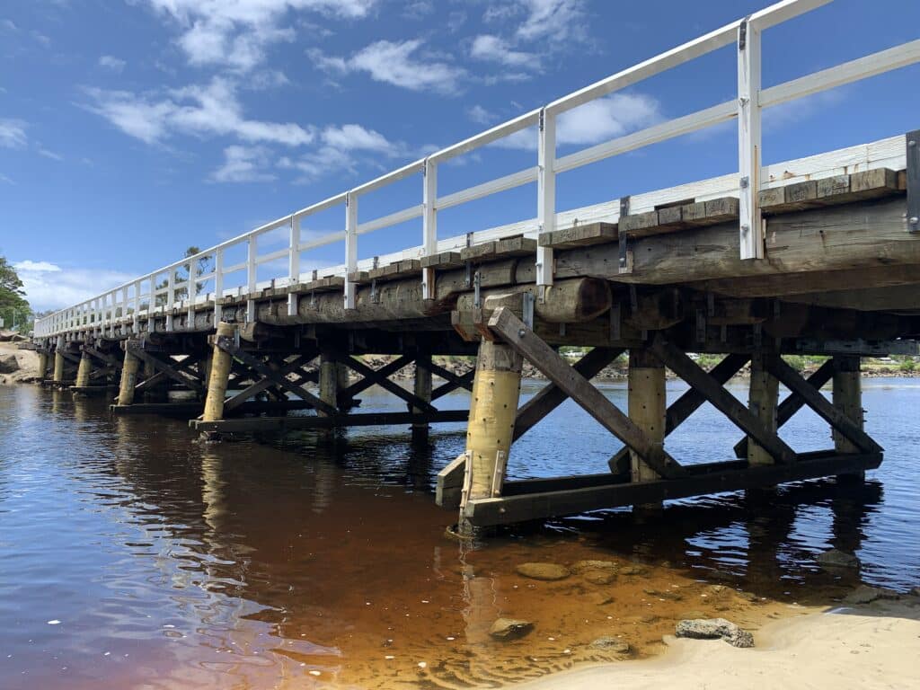 Underside of South Arm Bridge showing restored timber piles, Byron Shire, New South Wales