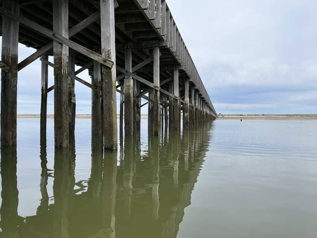 Underside of Duxbury Bridge showing timber piles and beams
