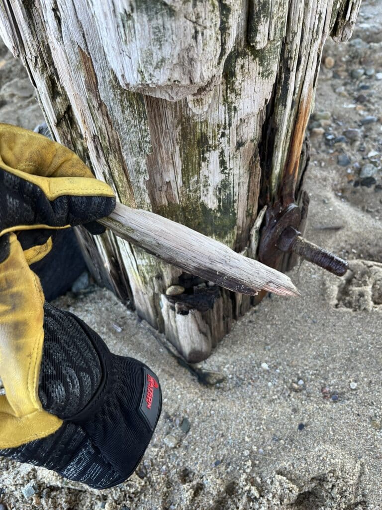 Technician examining a damaged timber beam at Duxbury Bridge
