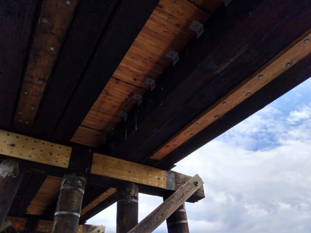 Underside of the Meadow Lake timber trestle showing pile bents and multi-ply chords
